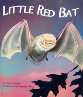   Little Red Bat